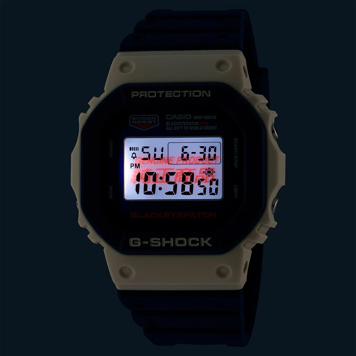 casio DW-5610BEP-2