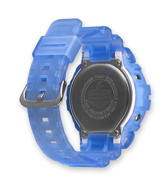 casio DW-6900LS-2ER