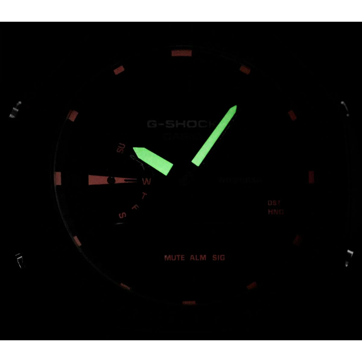 casio GA-2100-1A4