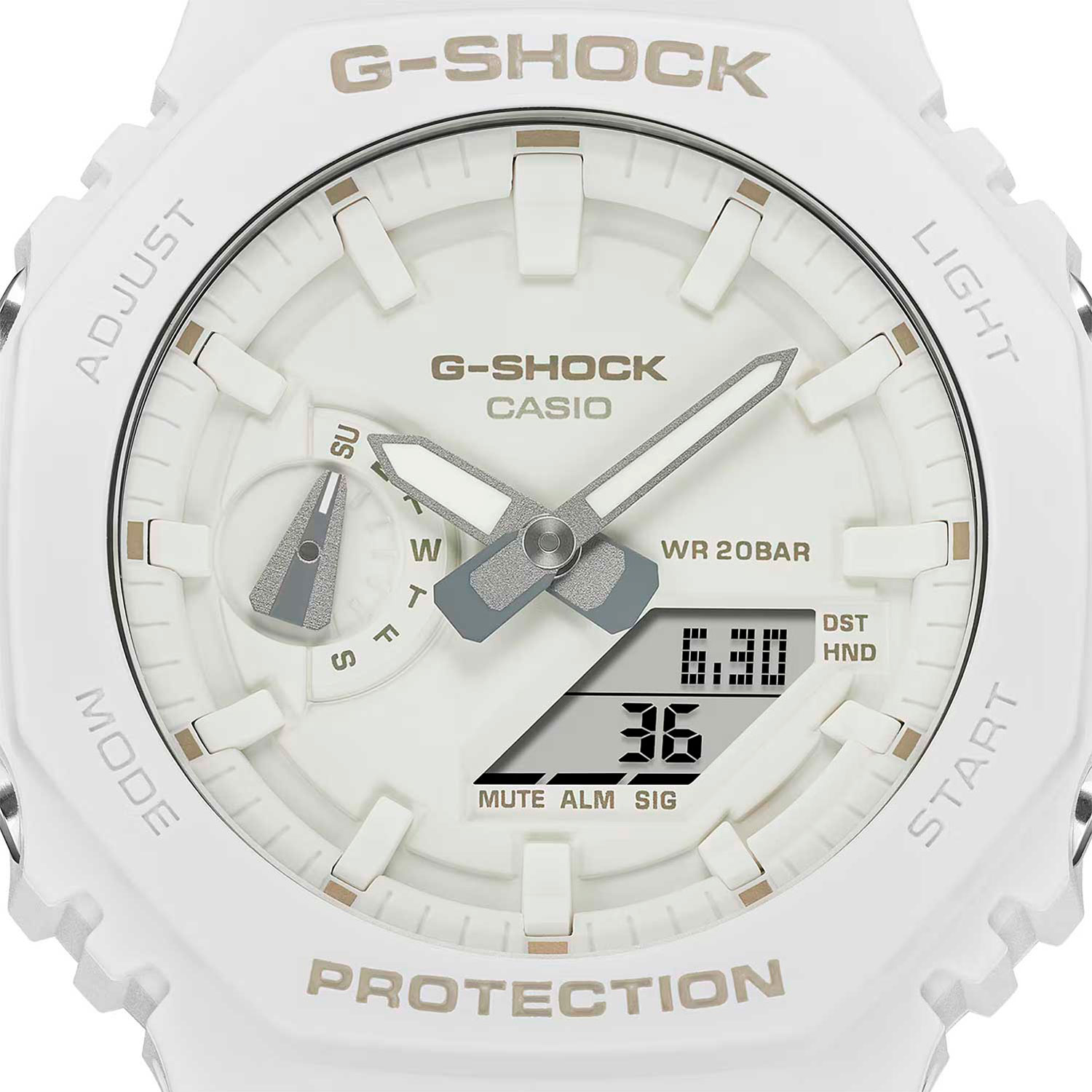 casio GA-2100-7A7