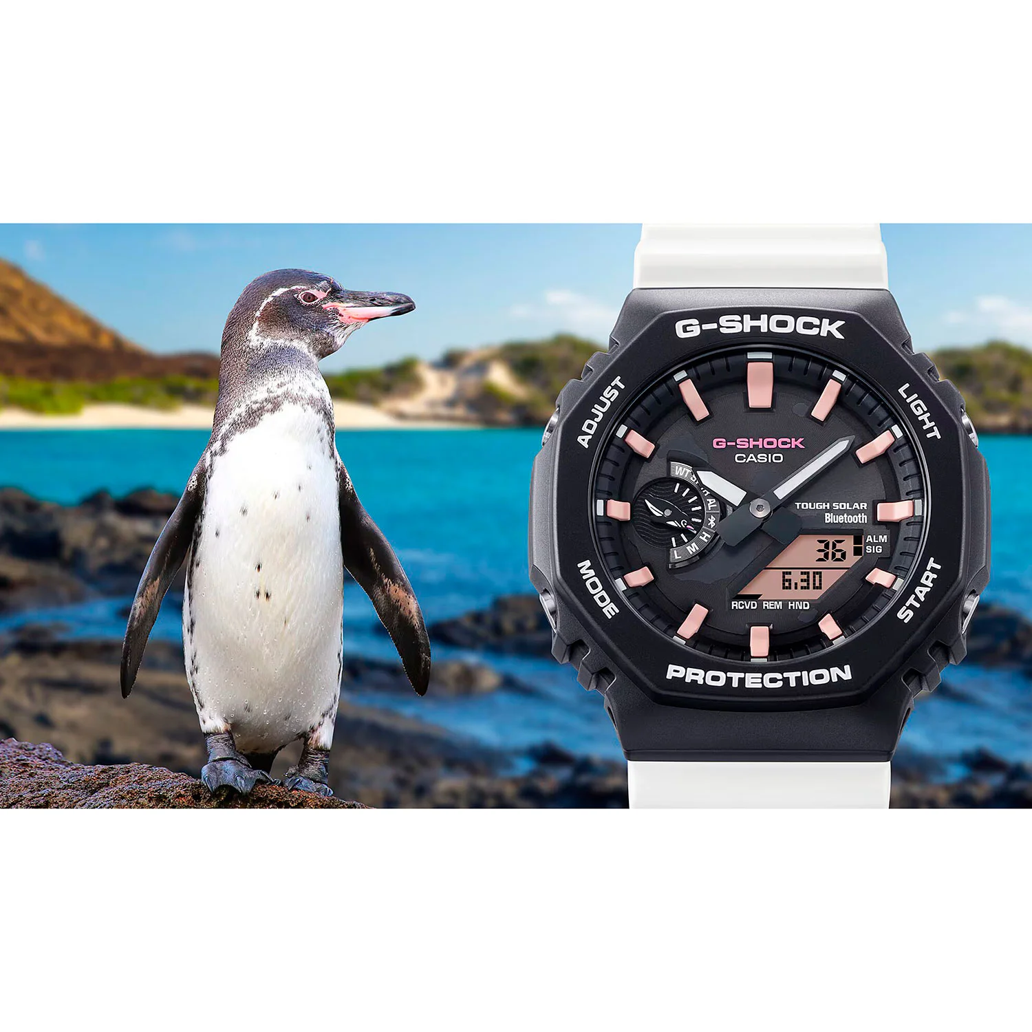 casio GA-B2100CD-1A7
