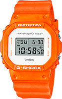 Casio G-Shock DW-5600WS-4