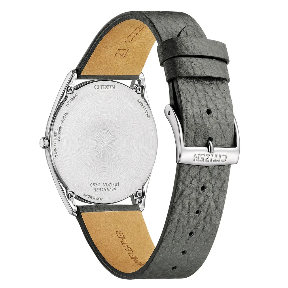 citizen AR3120-24L