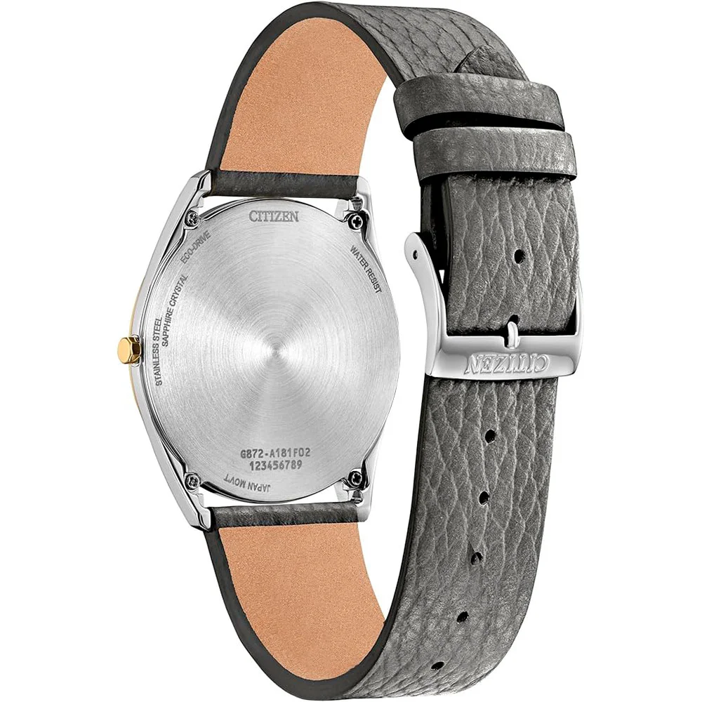 citizen AR3124-07H