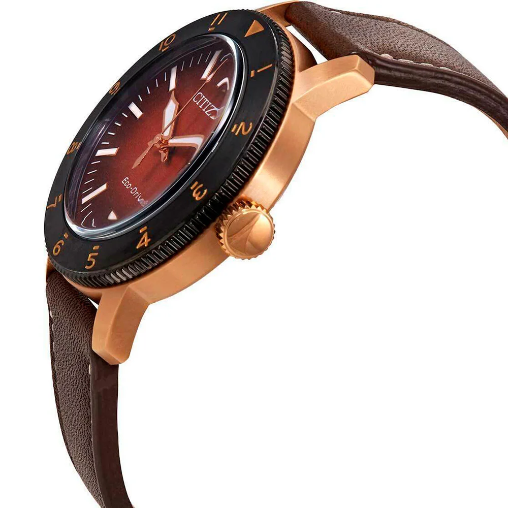 citizen AW0079-13X