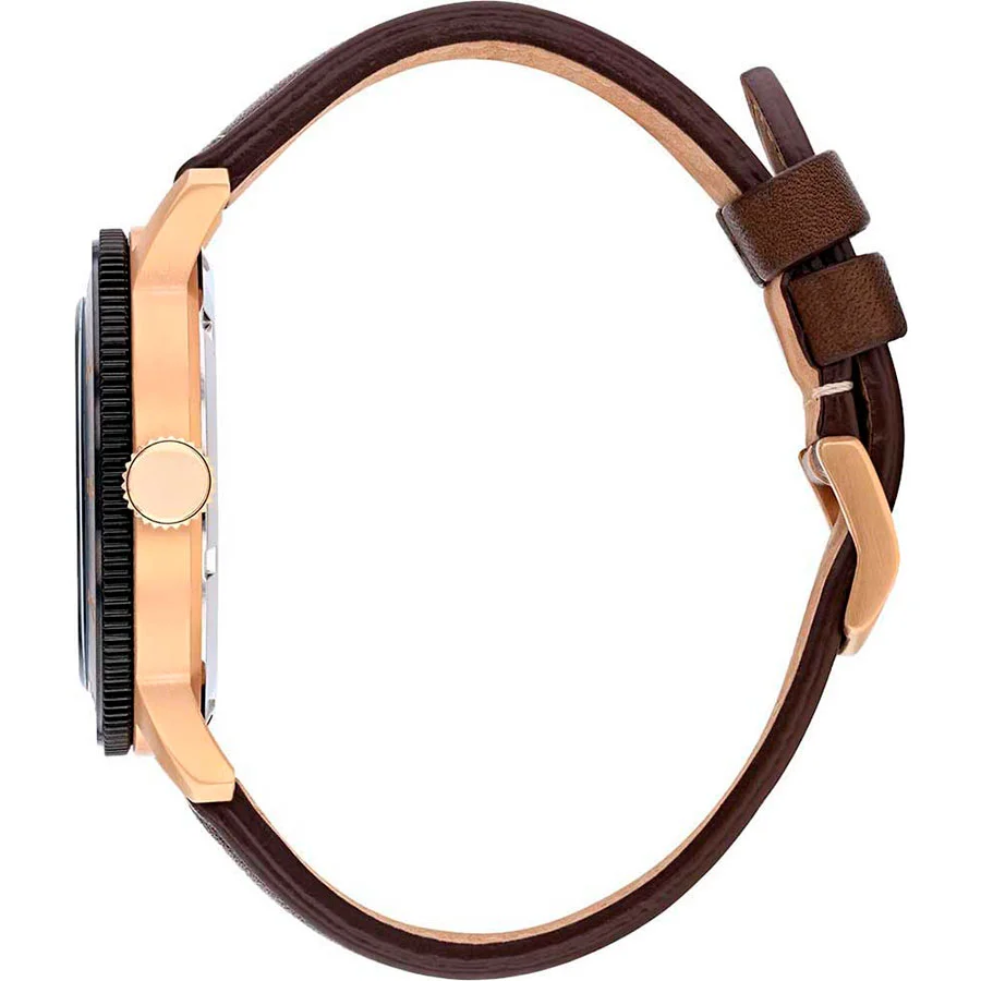 citizen AW0079-13X