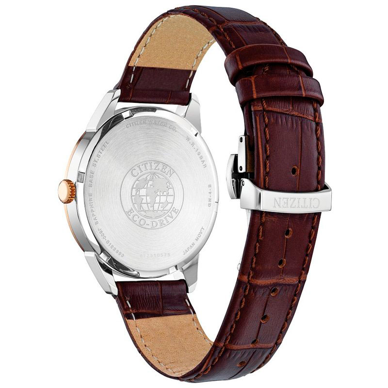 citizen AW0096-06L