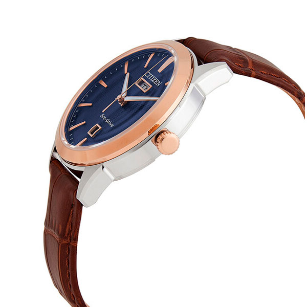 citizen AW0096-06L