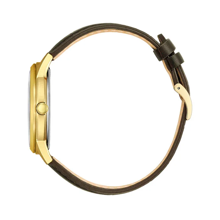 citizen AW0102-13A