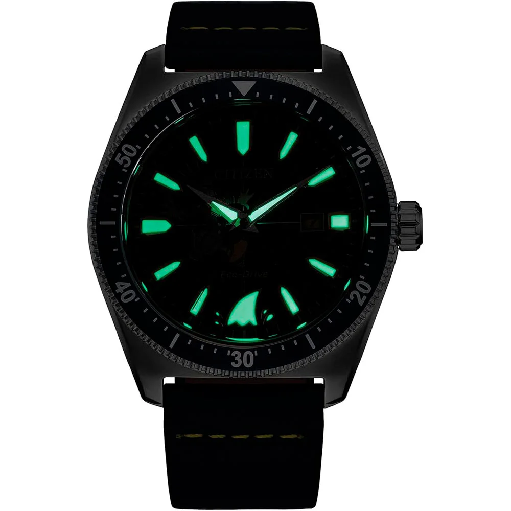 citizen AW1790-05W