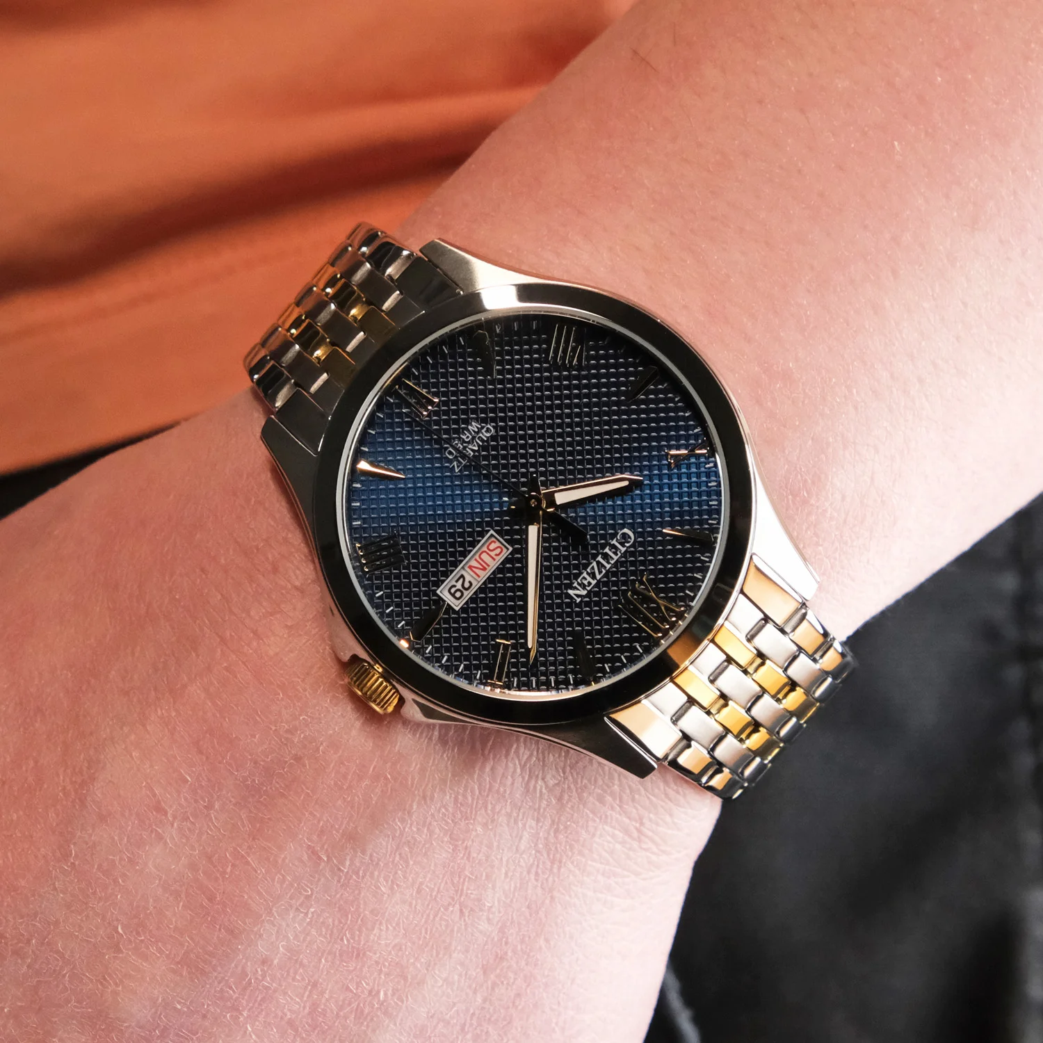 citizen BF2024-50L