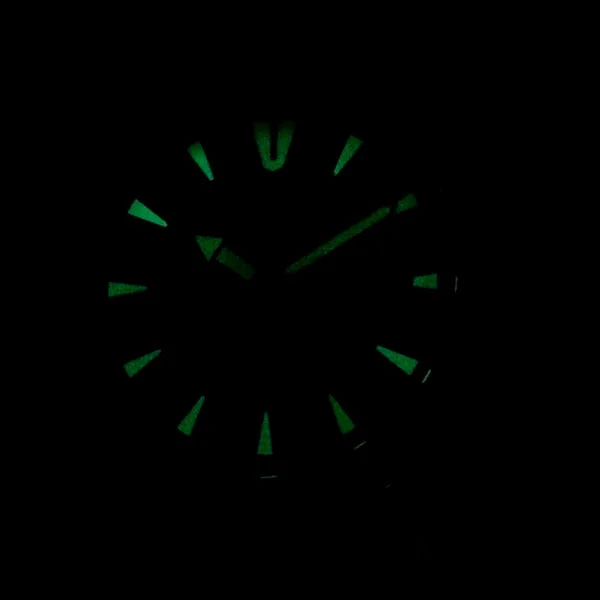 citizen BI1041-22L