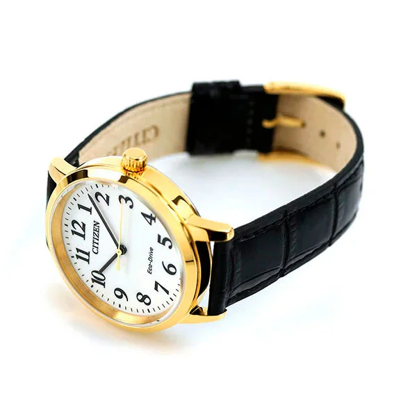 citizen BJ6543-10A