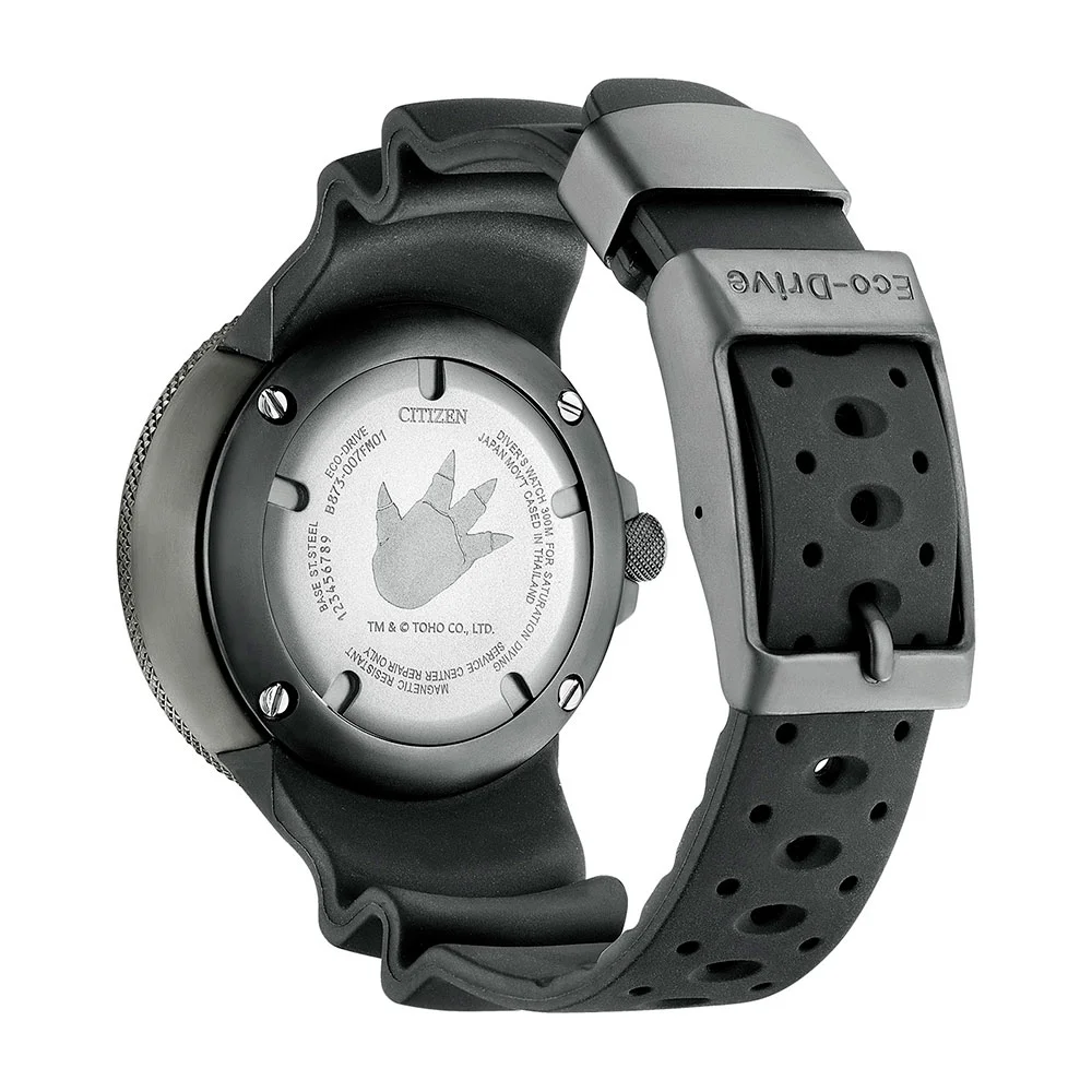 citizen BJ8056-01E