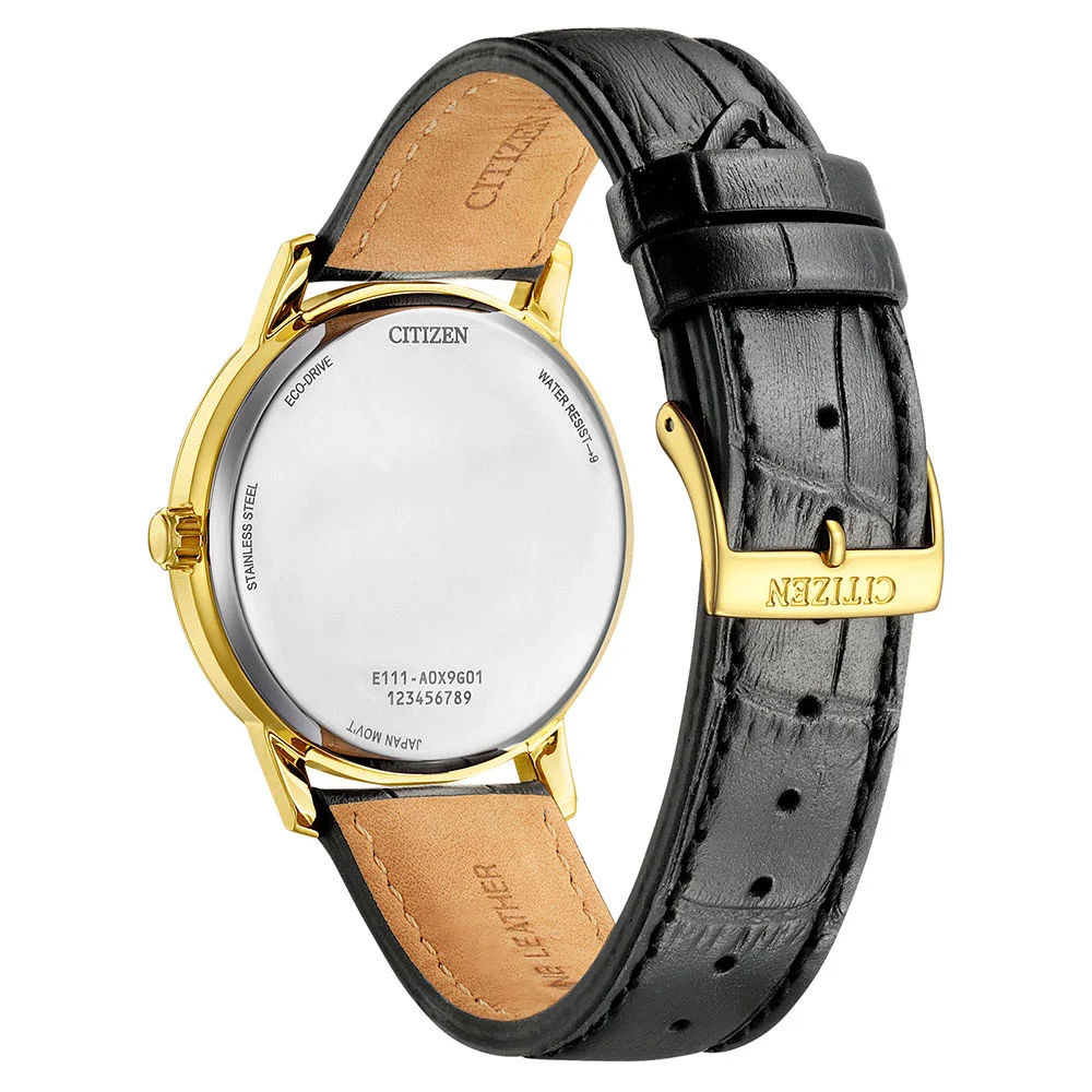 citizen BM6756-01A