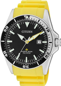 Вся коллекция Promaster