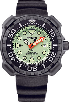 Вся коллекция Promaster