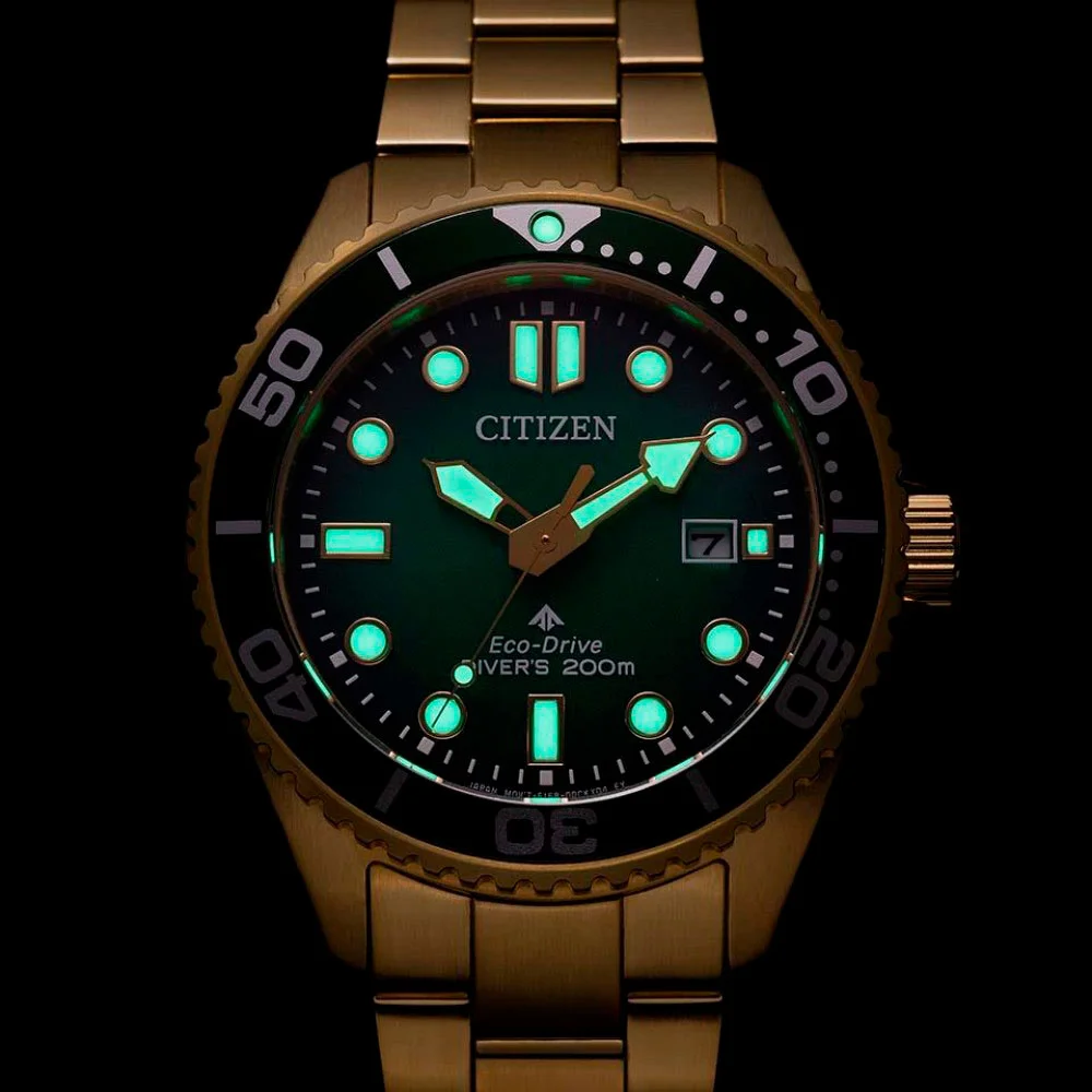 citizen BN0262-59W