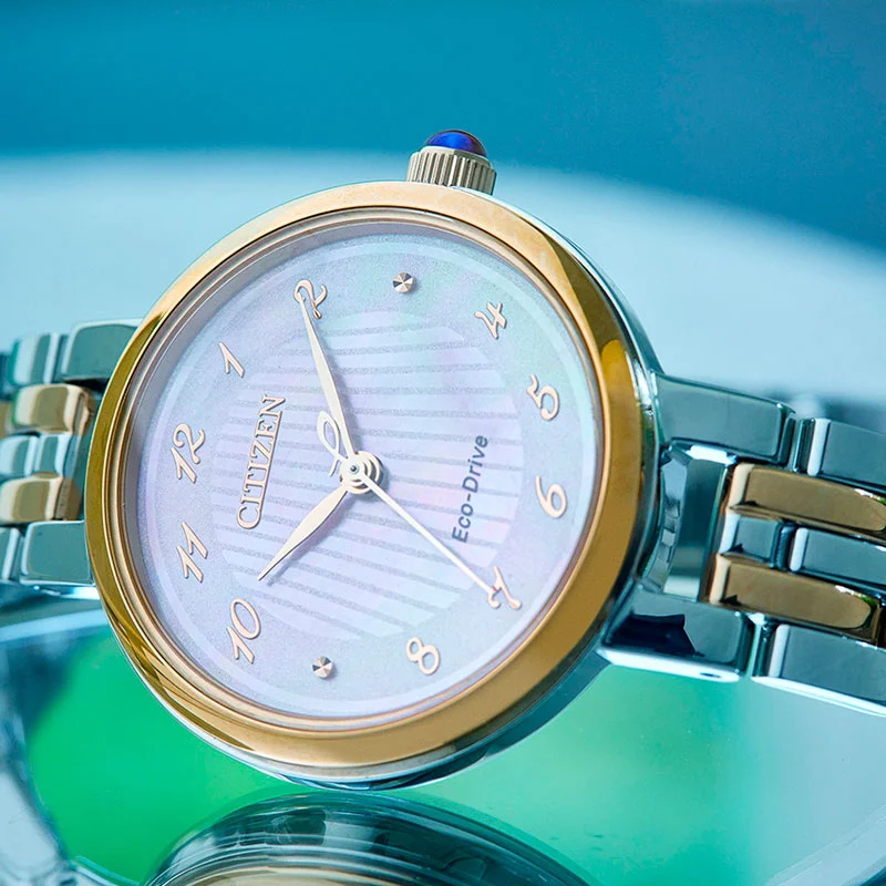 citizen EM0996-84Y