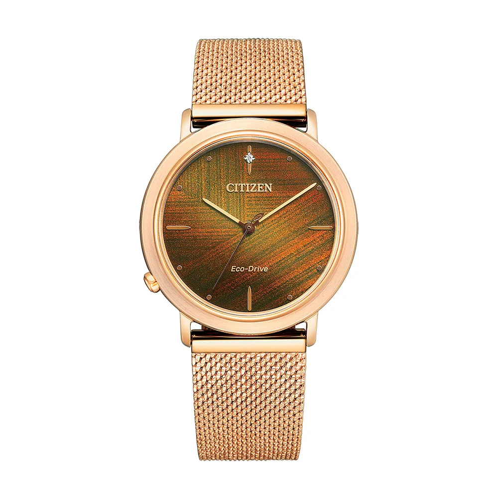 citizen EM1003-48X