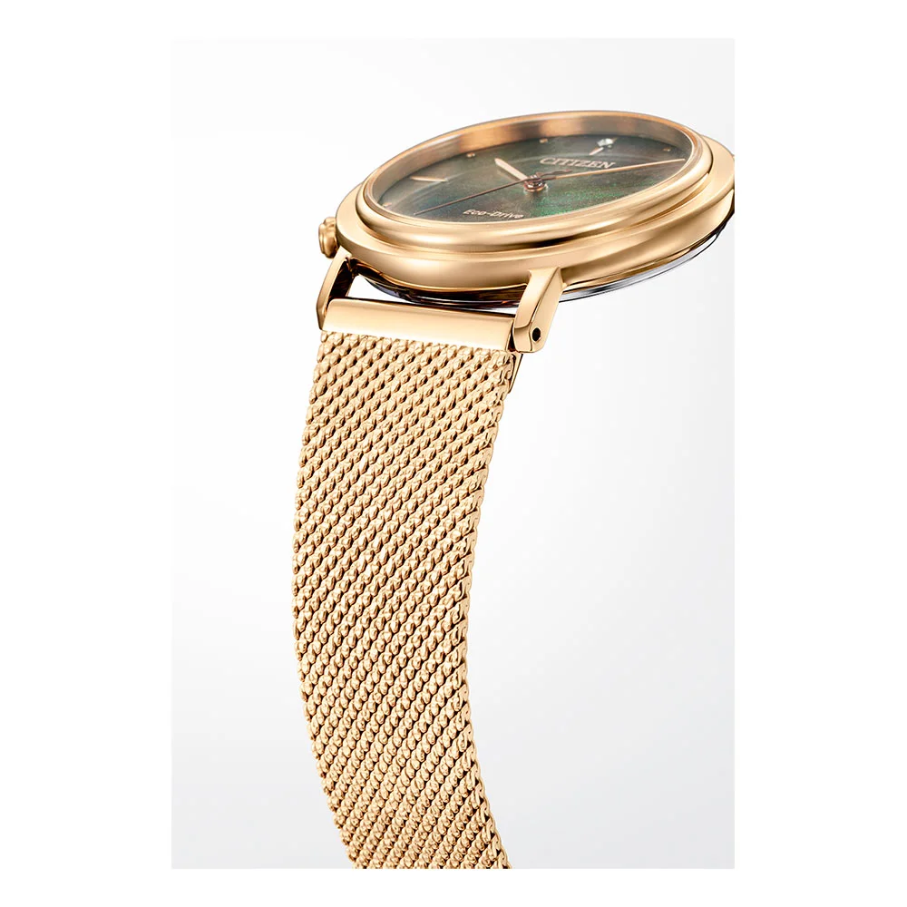 citizen EM1003-48X