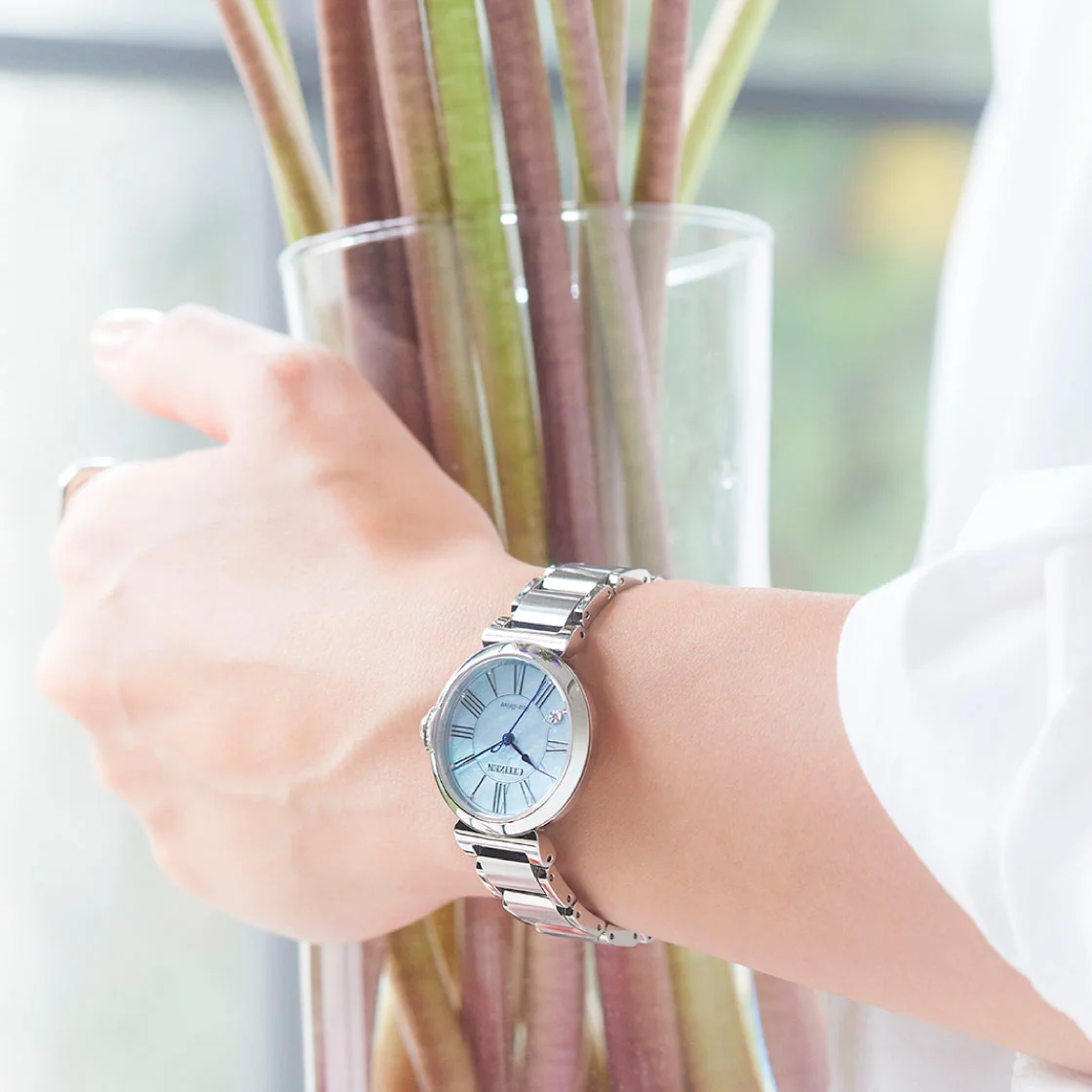 citizen EM1060-87N