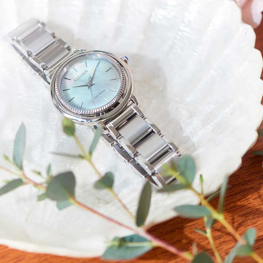 citizen EM1100-84D