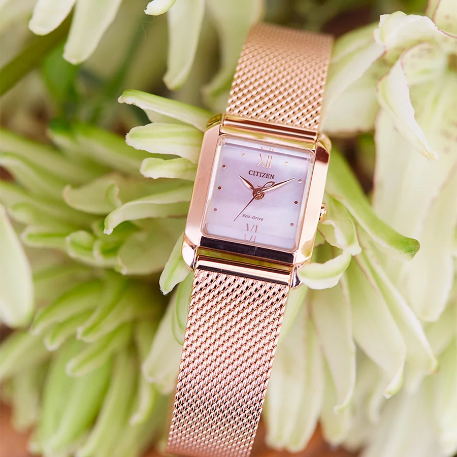 citizen EW5593-64D