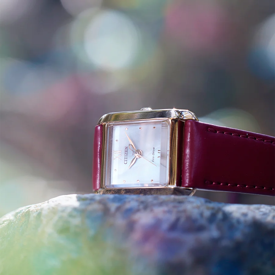 citizen EW5593-64D