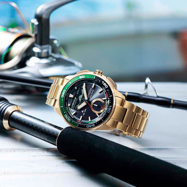citizen JV3002-51E