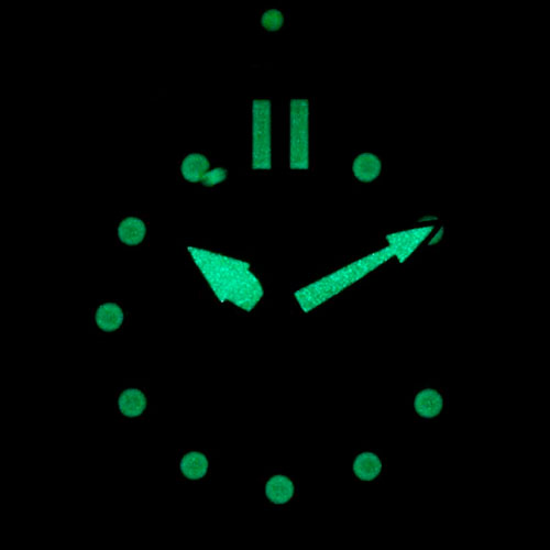 citizen NJ0125-11E