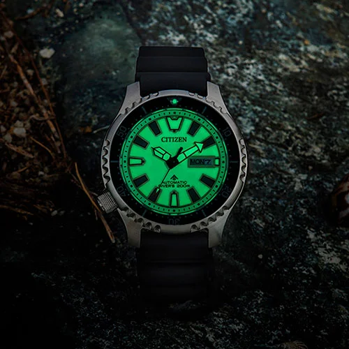 citizen NY0119-19X