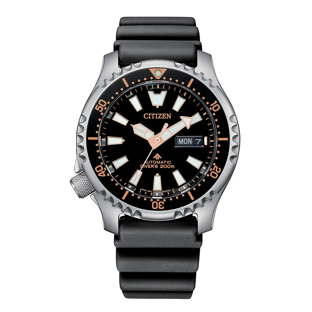 citizen NY0160-66E