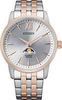Citizen Basic AK5006-58A