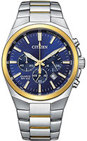 Citizen Chronograph AN8176-52L