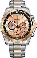Citizen Chronograph AN8204-59X