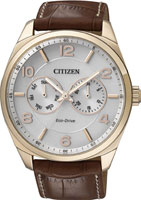 Citizen Eco-Drive AO9024-16A