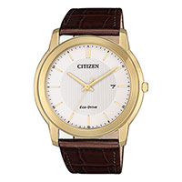 Citizen Eco-Drive AW1212-10A