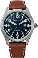 Citizen Eco-Drive BM6838-33L