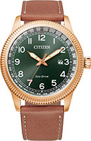 Citizen Eco-Drive BM7483-15X