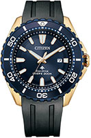 Citizen Promaster BN0196-01L