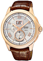 Citizen Eco-Drive BT0008-05A