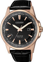 Citizen Eco-Drive BX1008-12E