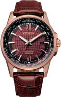 Citizen Eco-Drive BX1009-10X