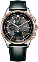 Citizen Attesa BY1004-17X
