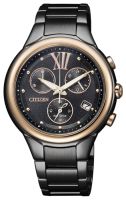 Citizen Eco-Drive FB1317-53E