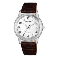 Citizen Elegance FE6011-14A