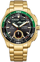 Citizen Promaster JV3002-51E