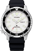 Citizen Automatic NY0118-11A