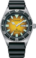 Citizen Promaster NY0120-01X